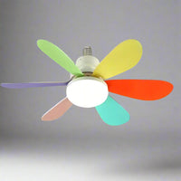 Multi-Colored