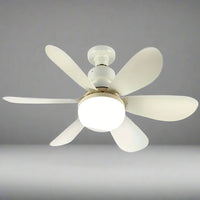 Ivory White